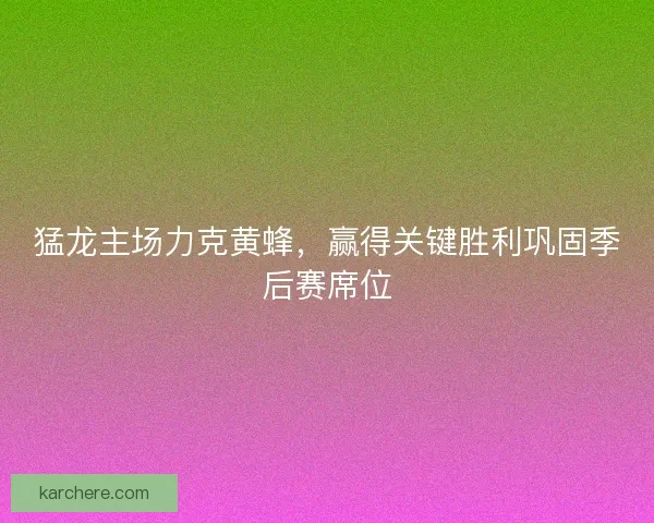 猛龙主场力克黄蜂，赢得关键胜利巩固季后赛席位
